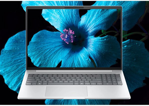 HP INC 8G1i16 7-255U/512/32/800N/W11P/3YOS
