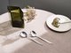 Σετ εργαλείων σαλάτας Iittala Scandia 2 τεμ.