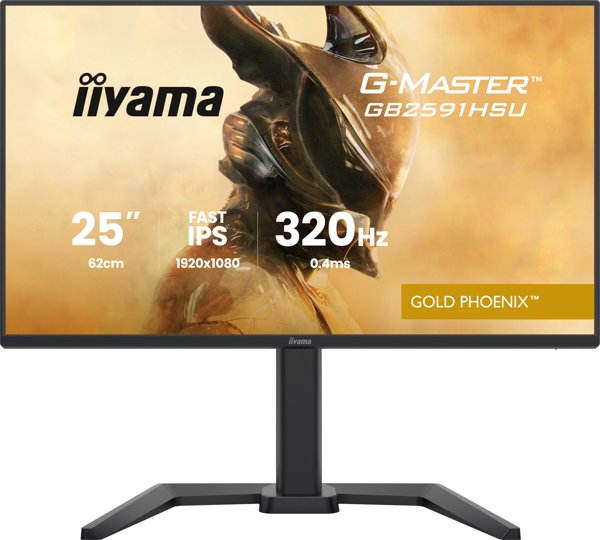 IIYAMA 68.6cm (24,5") GB2591HSU-B1 16:9 2xHDMI+DP+2xUSB-C