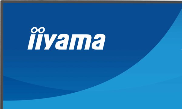 IIYAMA 60.5cm (24") XB2493HSU-B1 16:10 HDMI+DP+2xUSB IPS