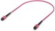Indoor OM4 multi-mode fiber  patch cable with MPO-12 Type