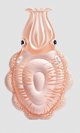 Intex φουσκωτή μάντα για κολύμπι 198x132cm 58731EU 30553