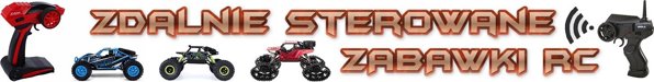 Αυτοκίνητο Jokomisiada Sportowe BMW Z4 τηλεχειριζόμενο 1:24 RC0347