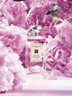 Jo Malone Peony & Blush Suede Γυναικείο Άρωμα Cologne 100ml