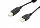 Kabel USB Accura Accura USB 2.0 - USB-B ferryt 3.0m czarny