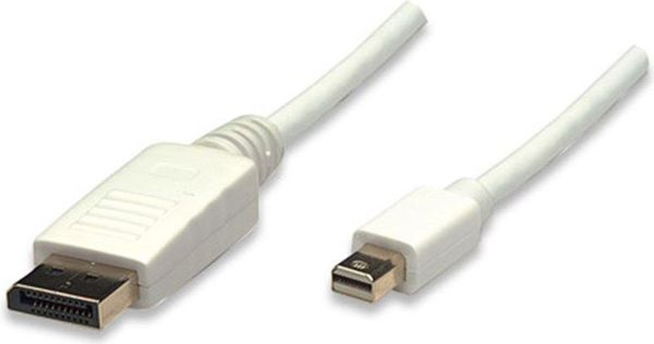 Καλώδιο Techly DisplayPort Mini - DisplayPort 1m άσπρο (305229)