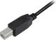 Kabel USB Sharkoon USB-A - USB-B 2 m Czarny (4044951015269)