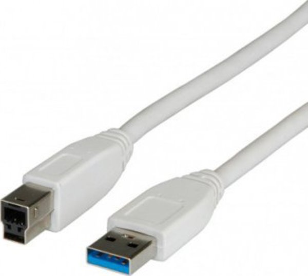 Καλώδιο USB iBOX USB-A - USB-B 3 μ beige (S3003-50)