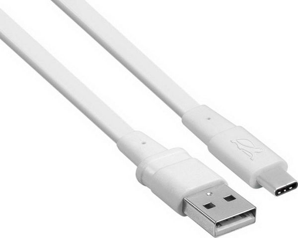 Καλώδιο USB RivaCase USB-A - USB-C 2.1 m Λευκό (PS 6002 WT21)