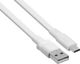 Καλώδιο USB RivaCase USB-A - USB-C 2.1 m Λευκό (PS 6002 WT21)
