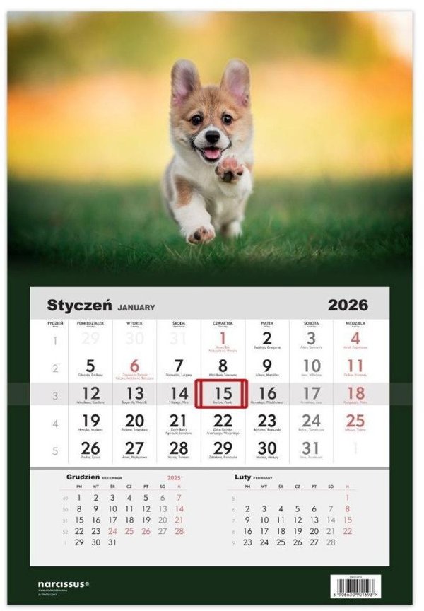 Kalendarz 2026 jednodzielny Pies Corgi HELMA