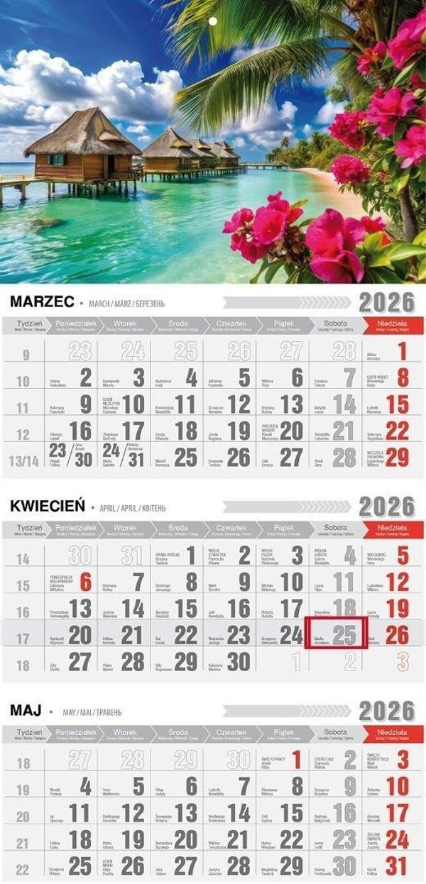 Kalendarz 2026 trojdzielny z magnesem tropiki