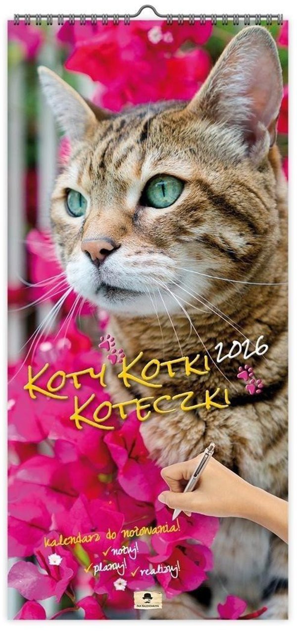 Kalendarz 2026 paskowy szeroki koty kotki koteczki