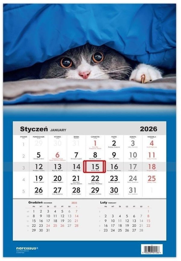 Kalendarz 2026 jednodzielny Kot HELMA