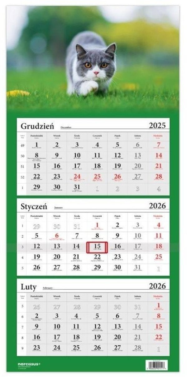 Kalendarz 2026 trojdzielny Kot brytyjski HELMA