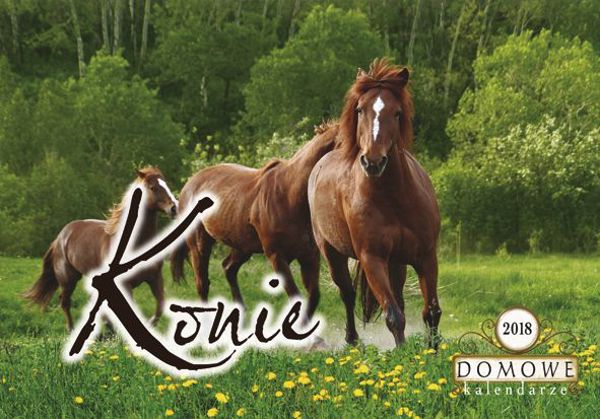 Kalendarz 200X285 scienny, konie (TW-10-6)