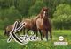 Kalendarz 200X285 scienny, konie (TW-10-6)