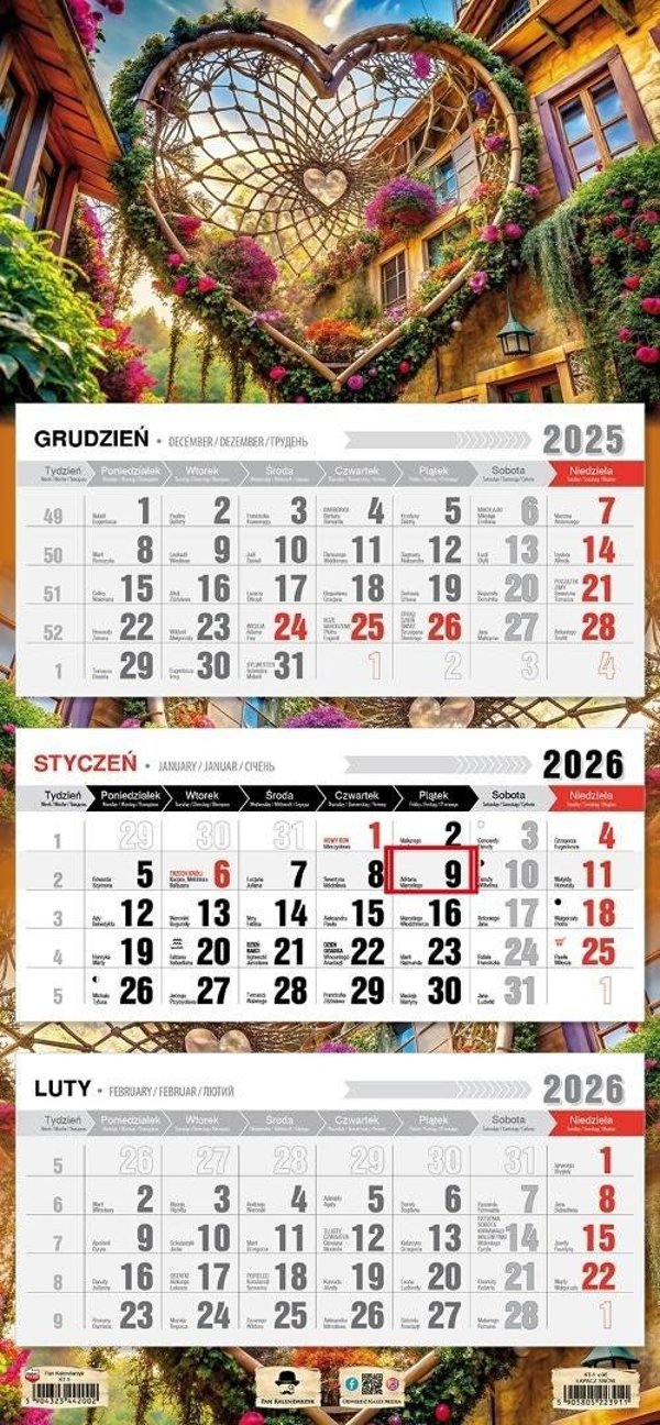 Kalendarz 2026 Trojdzielny Plaska Glowka Lapacz EDUKAMP
