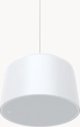 Kamera IP Axis C1510 NETWORK PENDANT
