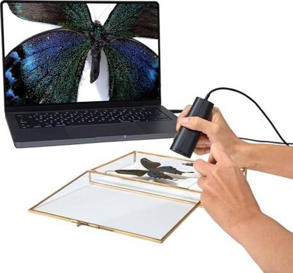 Κάμερα Internet Ipevo Ipevo DOK P2V Ultra Object Camera μαύρο