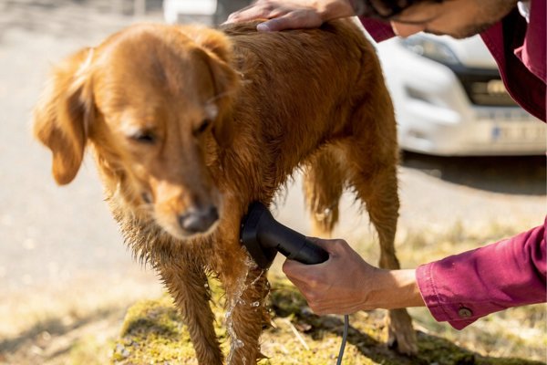 Βούρτσα πλυσίματος κατοικίδιων KARCHER