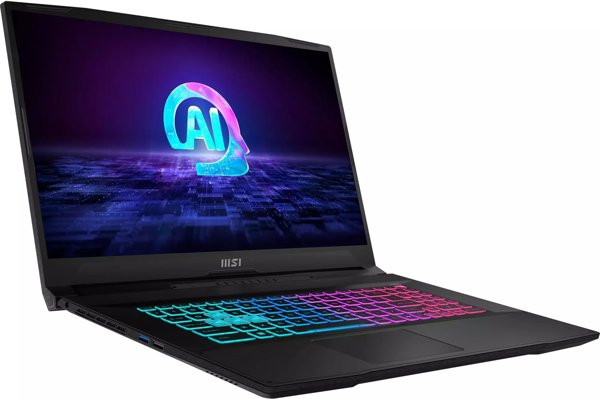 Katana A17 AI B8VF-866(schwarz, AMD Ryzen 7 8845HS, NVIDIA GeForce RTX 4060, 16 GB DDR5, 1 TB(1 TB SSD), Windows 11 Home)