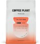 Coffee Plant Low Cold Brew Filter - Κόκκοι Καφέ, Χαμηλή Καφεΐνη, 250g