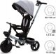 Kidwell Rowerek trojkolowy AXEL szary Titanium Grey kidwell