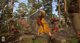 Kingdom Come: Deliverance Royal Edition incl. 5 Add-ons