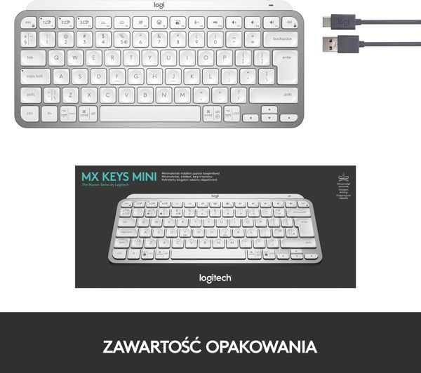 Klawiatura Logitech MX Keys Mini (920-010499)