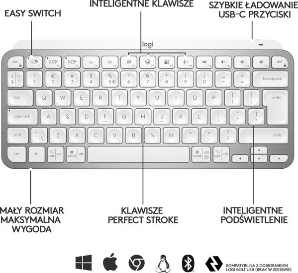 Klawiatura Logitech MX Keys Mini (920-010499)