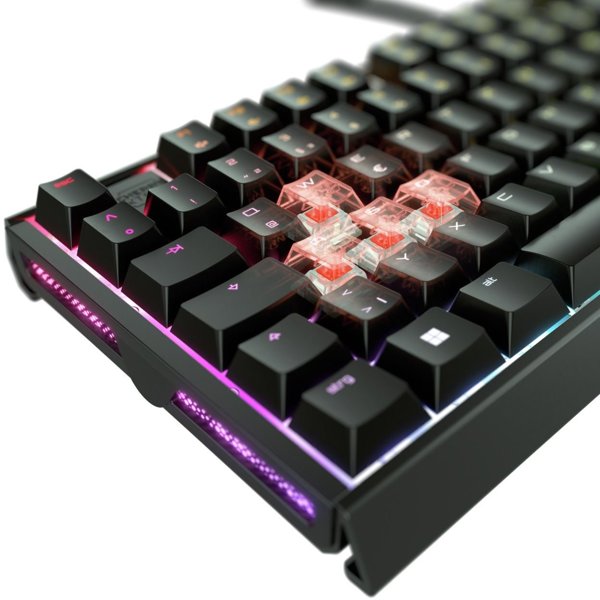 Cherry MX 3.1 RGB Μηχανικό Πληκτρολόγιο, Black