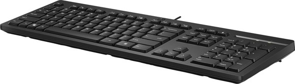 Ενσύρματο Πληκτρολόγιο HP 125 Wired Keyboard, Ελληνικό Layout, Μαύρο
