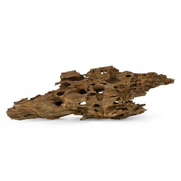 Koren Ktimen SHRIM gia enydreio/terrarion 20-60 cm