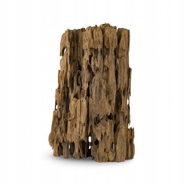 Koren Ktimen SHRIM gia enydreio/terrarion 20-60 cm