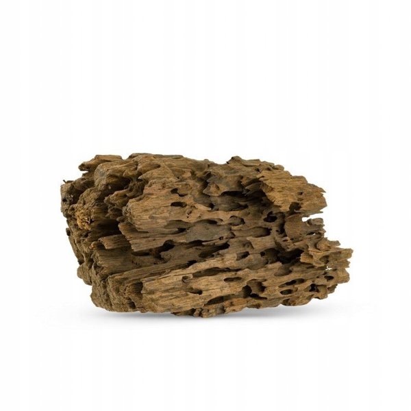 Koren Ktimen SHRIM gia enydreio/terrarion 20-60 cm
