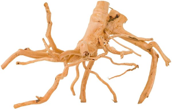 Korzen Spider για ενυδρείο / τεραρίο