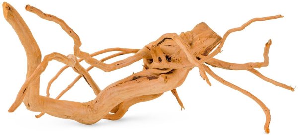 Korzen Spider για ενυδρείο / τεραρίο