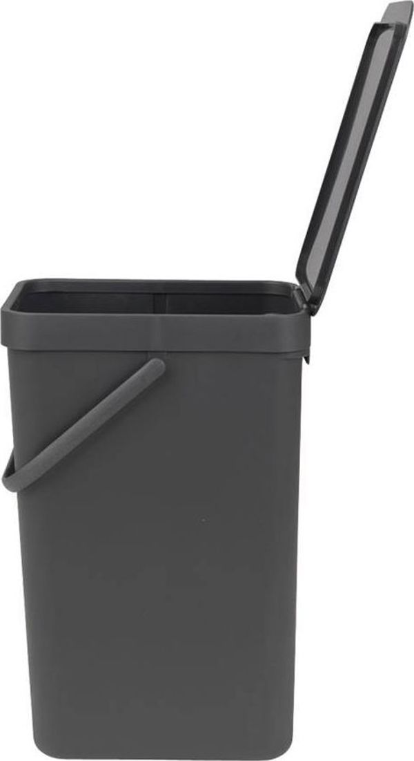 Brabantia Sort&Go Κάδος Απορριμμάτων Διαλογής, Γκρι, 12L