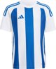 adidas Ριγέ Παιδικό T-shirt Striped 24 λευκό-μπλε IW2134 152cm