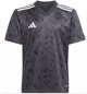 Koszulka adidas Team Icon 25 JSY Jr JJ1954