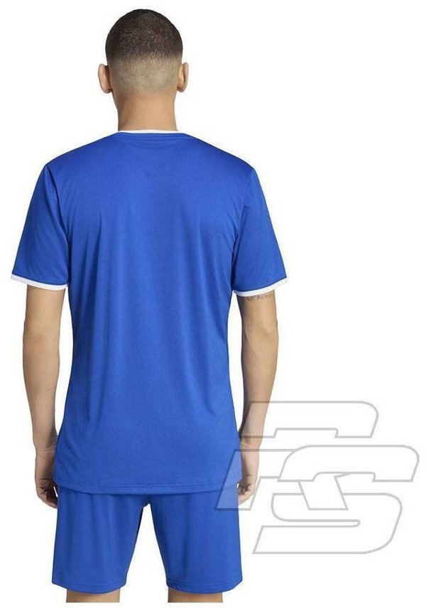 Koszulka adidas Entrada 26 JSY JZ2506