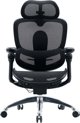 Krzesło biurowe Sihoo Fotel biurowy C300 PRO V2 Black (C300-PRO-V2-B101)