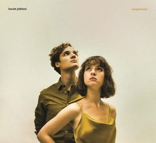 Kwiat Jabloni – Niemozliwe CD