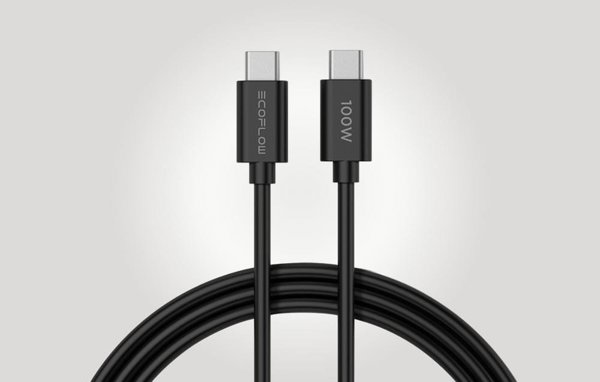 EcoFlow GaN RAPID Φορτιστής, 65W, USB-C, Ταχείας Φόρτισης
