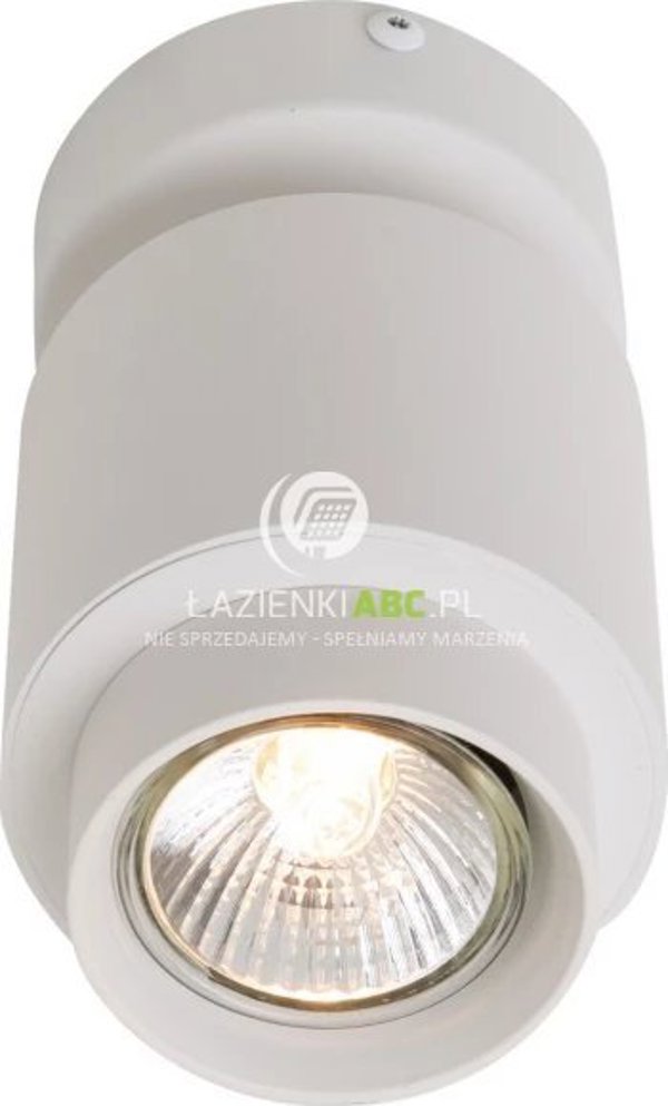Lampa sufitowa Zuma Line PLAFON SCOPY1 (ACGU10-150) Zuma Line