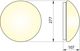 Lampa sufitowa GTV 1x25W  (OS-PLCZMI-00)