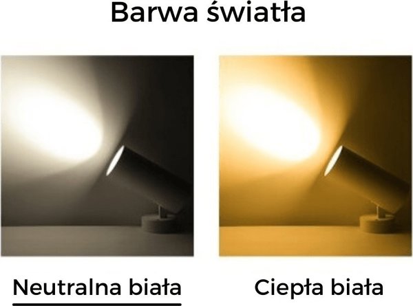 Blaupunkt DRNW-12NW Φωτιστικό Οροφής Προβολέας 12W LED Λευκό