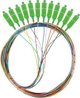 Lanberg Pigtail SM SC/APC Semi Tight 9/125 G657A1 12X2M multikolor