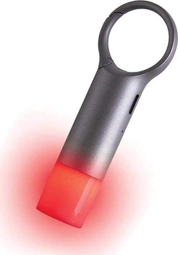 Lexon Nomaday Flash LED Μπρελόκ Φακός, Γκρι/Gunmetal, LL137X